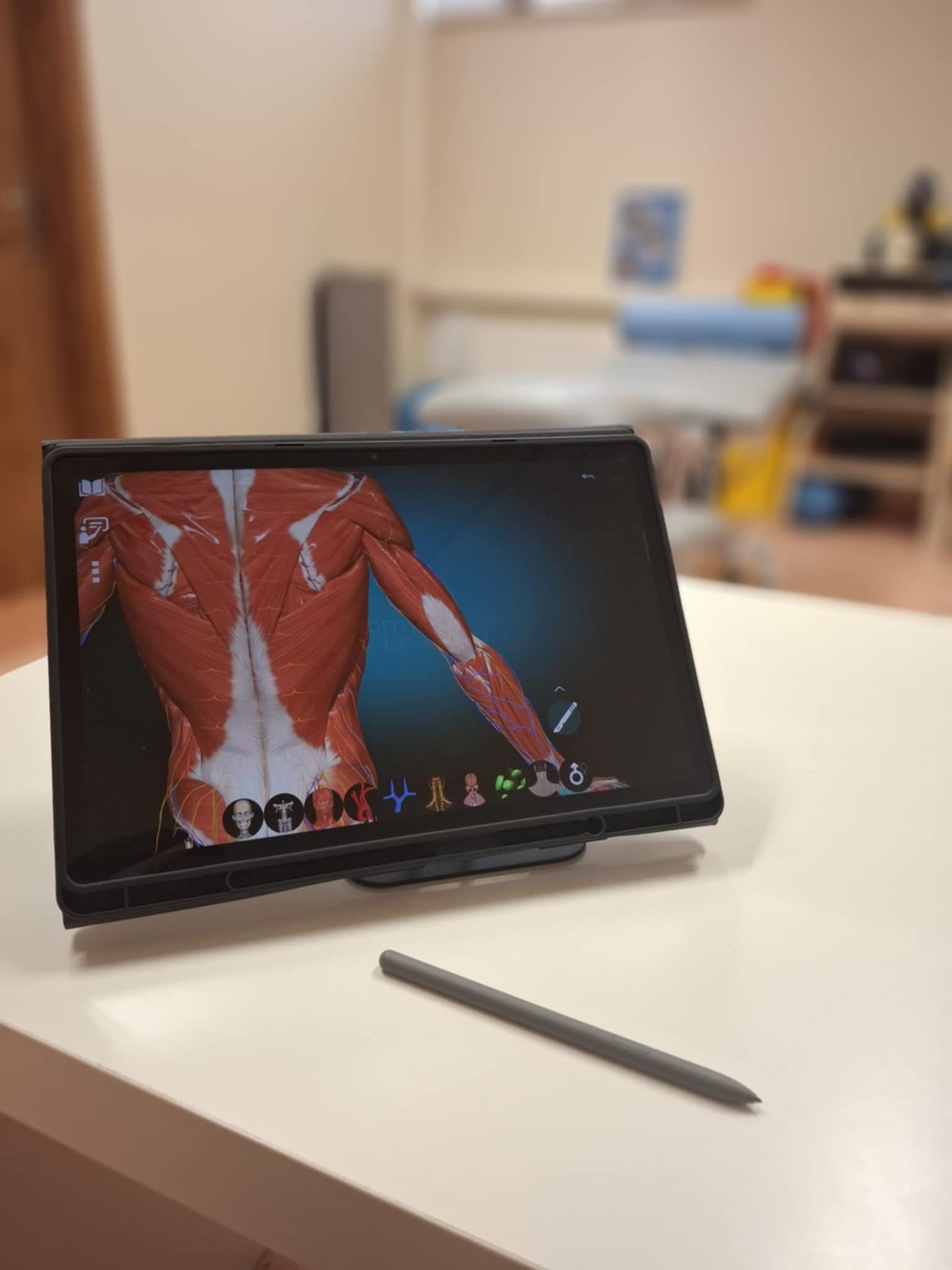 Omówienie wyników badania na modelu anatomicznym podczas wizyty